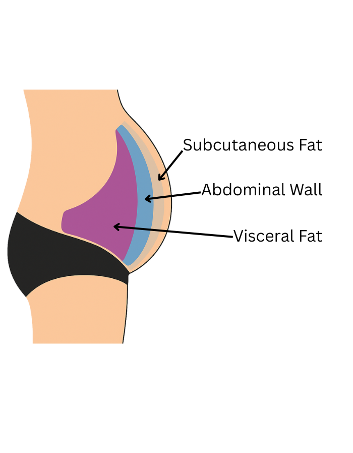 belly fat