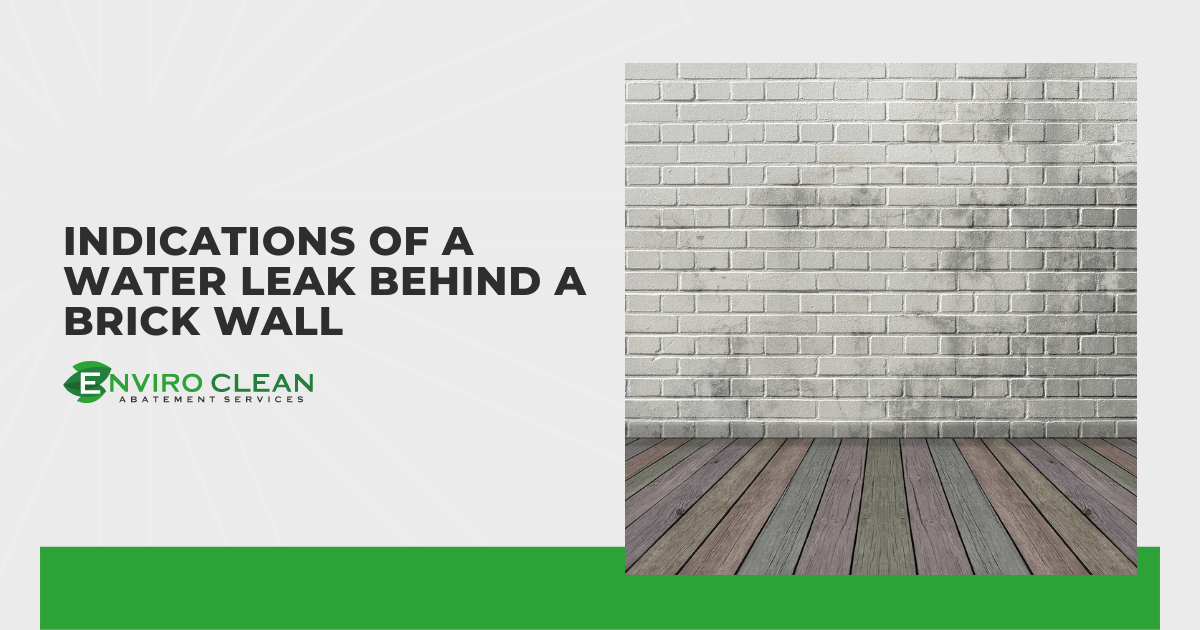 Indications of a Water Leak Behind a Brick Wall