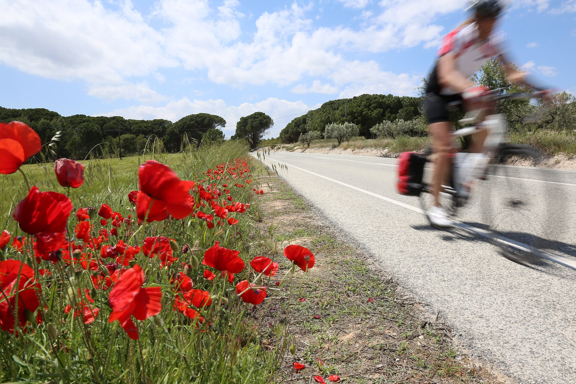 Fietsvakantie arangementen