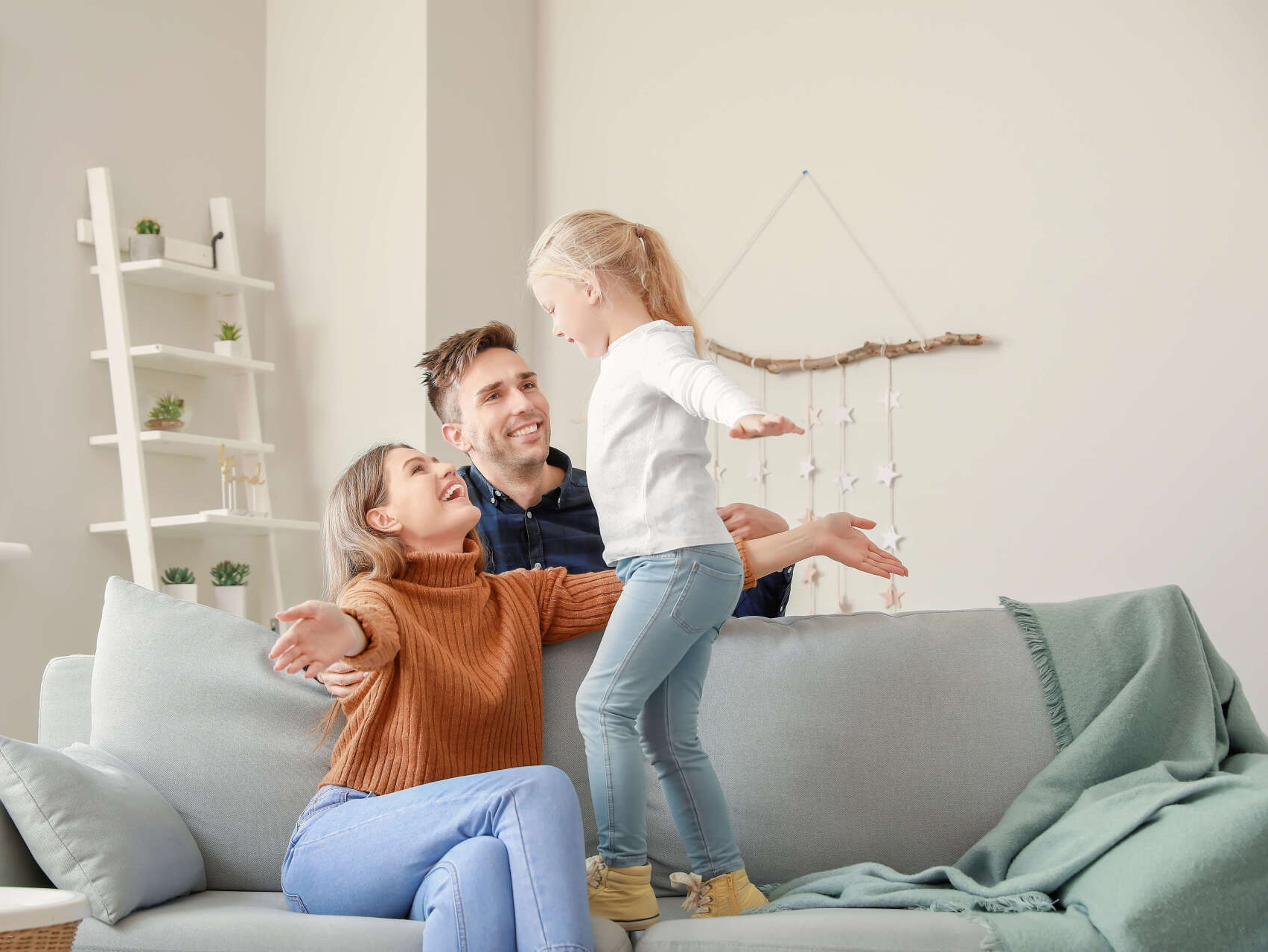 Pest Control & Management for Christchurch Home & Business