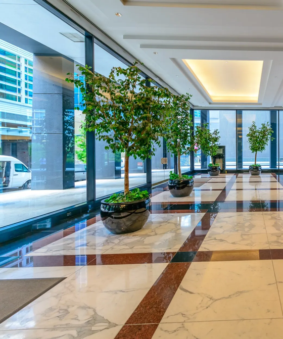 Real Estate Solutions Real Property Solutions LL