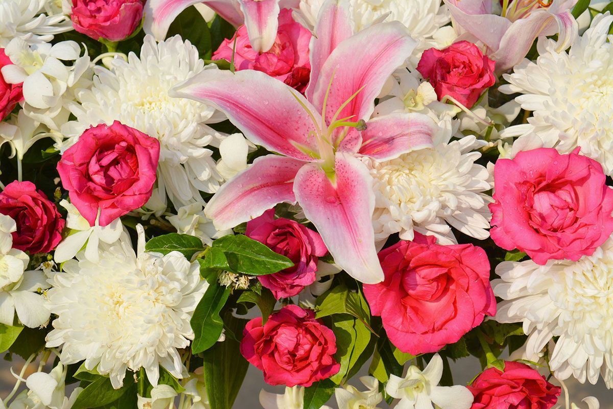 Onoranze Funebri Nuova Canzi - Giussano Brianza (Monza-Brianza)