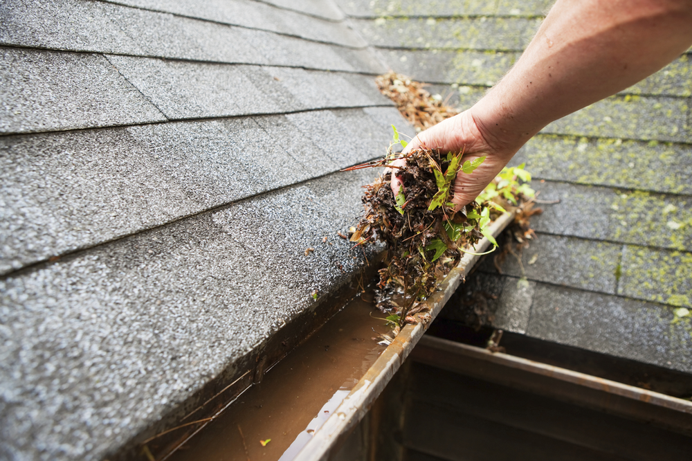Person Cleaning Gutter on Roof | Buda, TX | Texas Roots Property Care