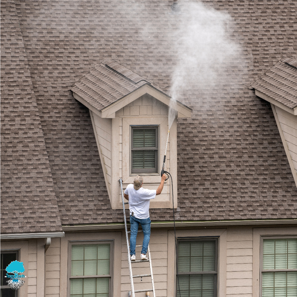 Man on Ladder Cleaning the Roof of House | Buda, TX | Texas Roots Property Care