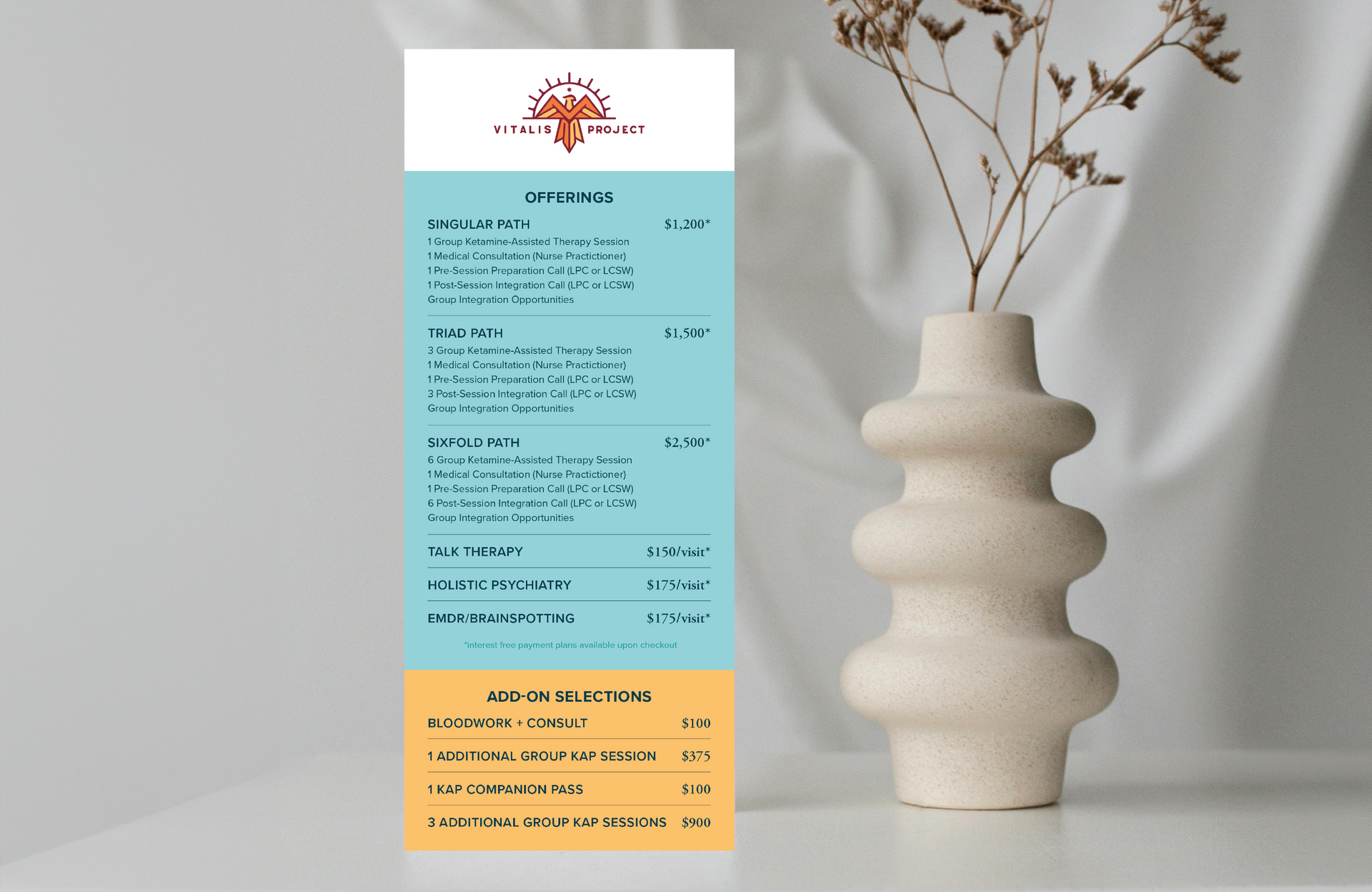 Vitalis Project Branding Project Mock Up Design