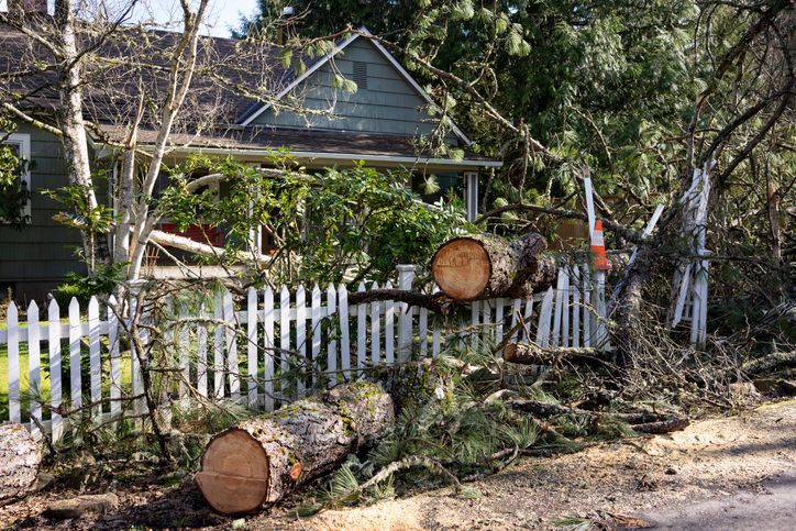 home storm damage photo