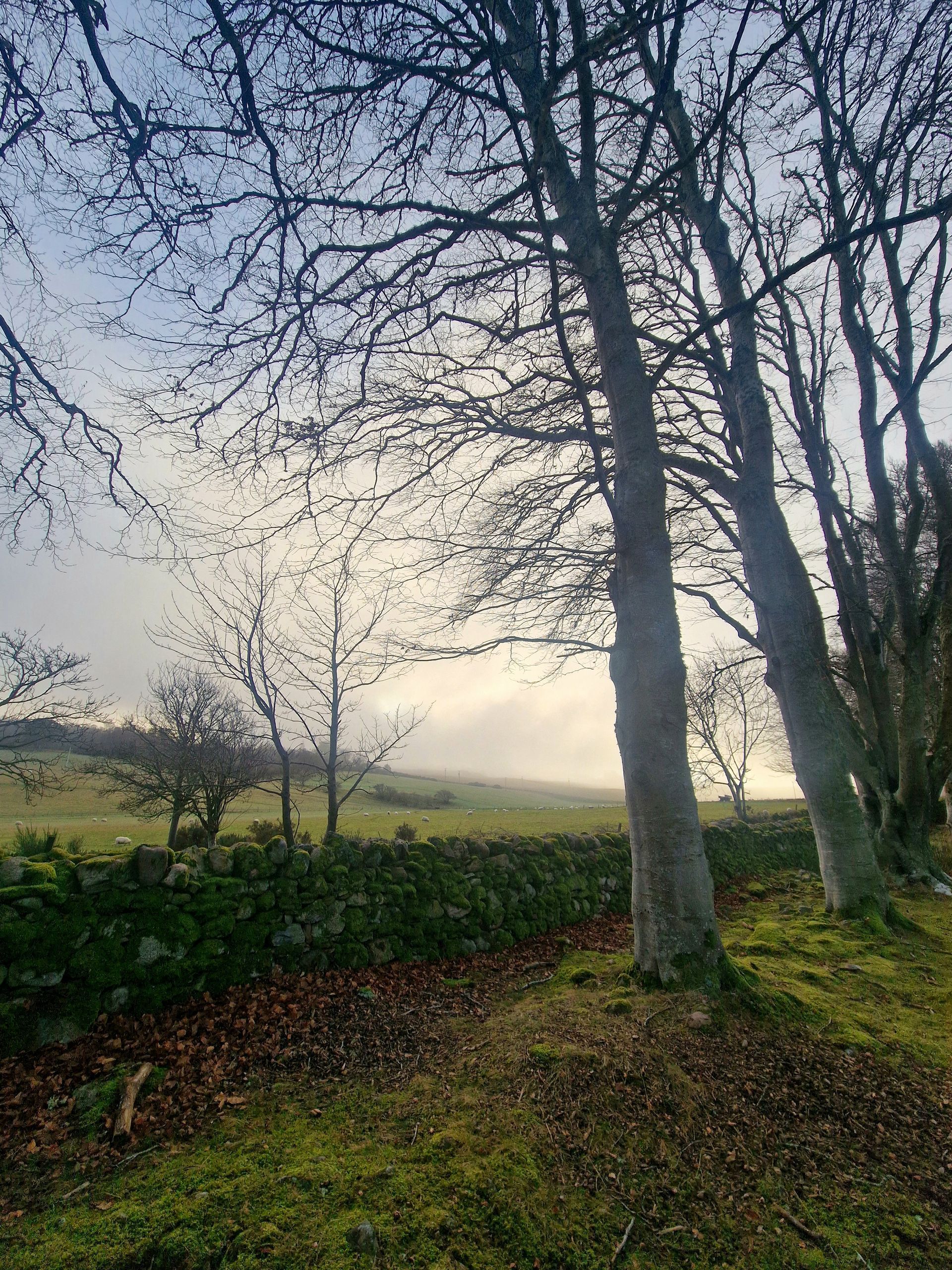 Incall and outcall tantric massage Glasgow , professional sensual massage sessions