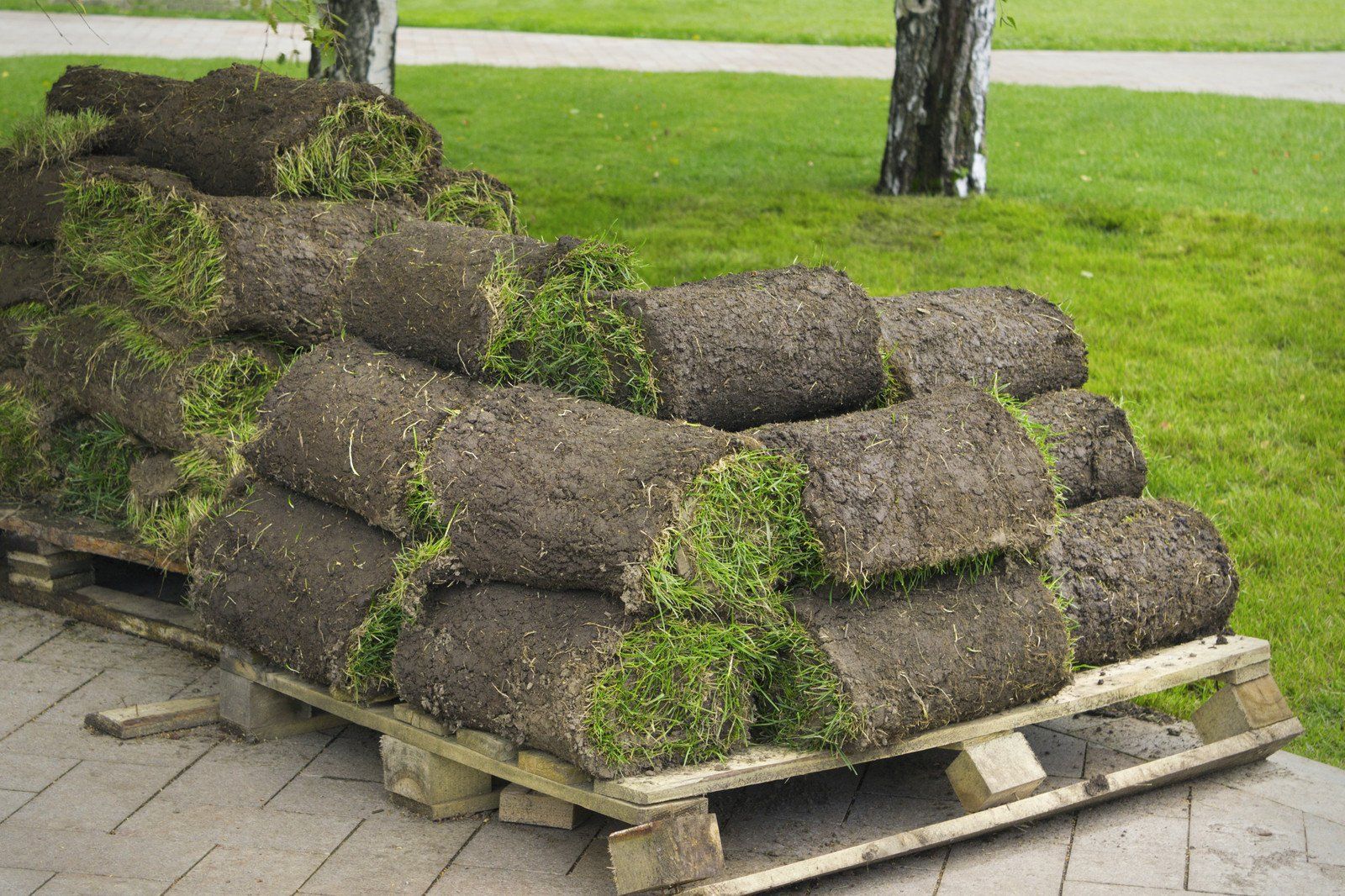 pile of sod rolles in the walkway