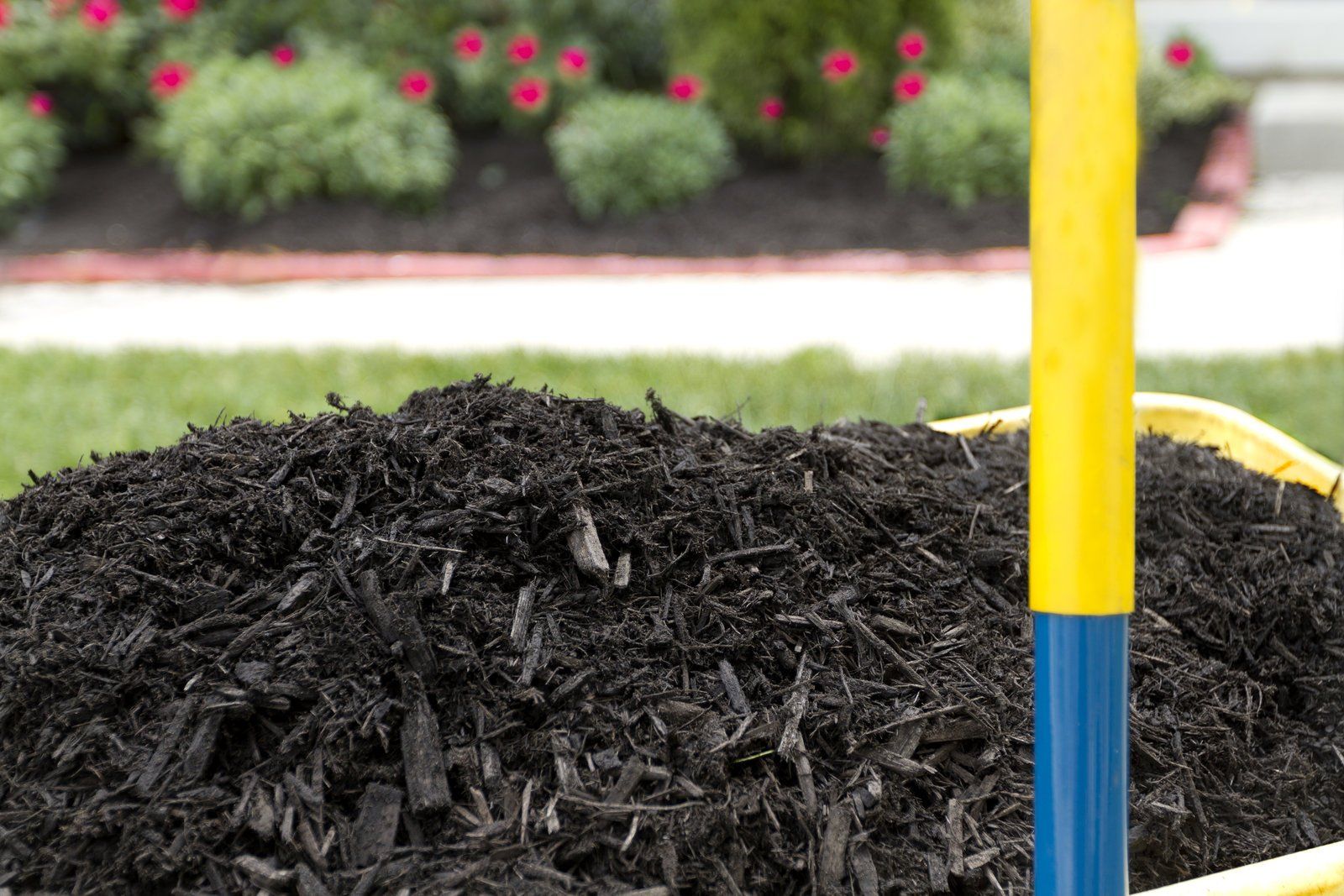 mulch in the ground