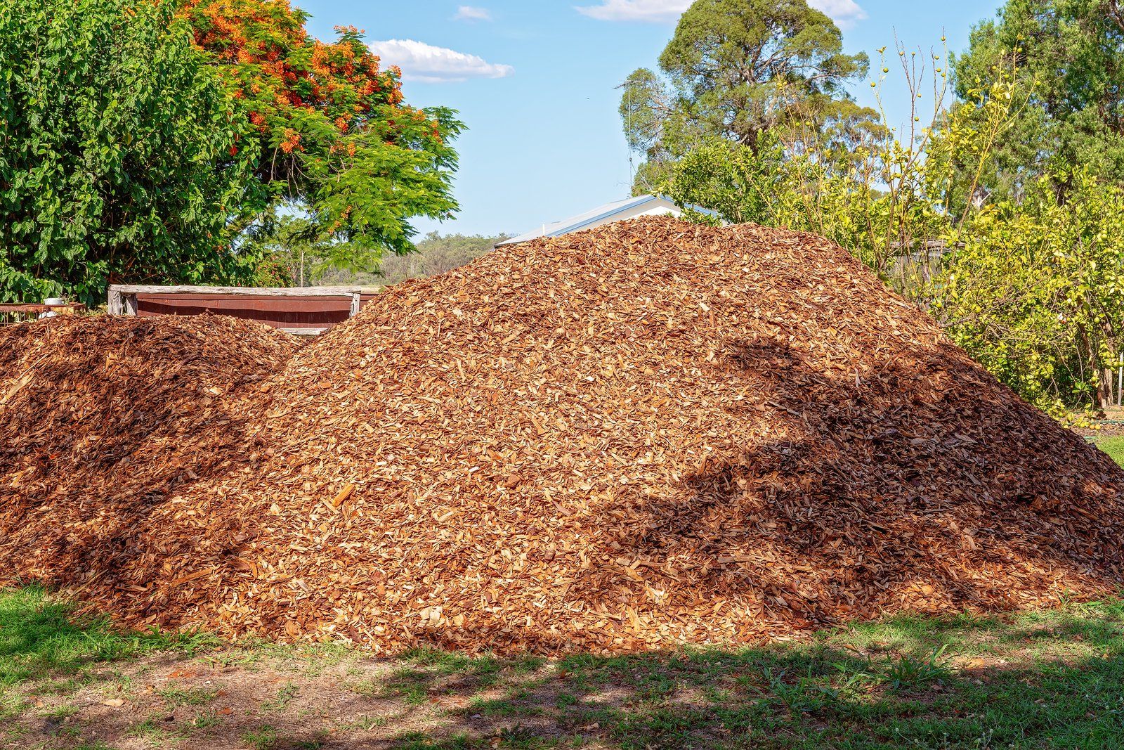 pile of mulch in the grass