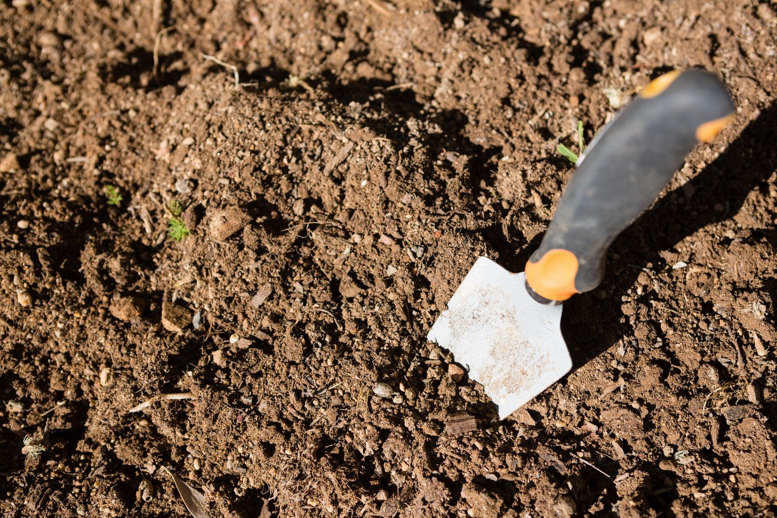 trowel in the ground