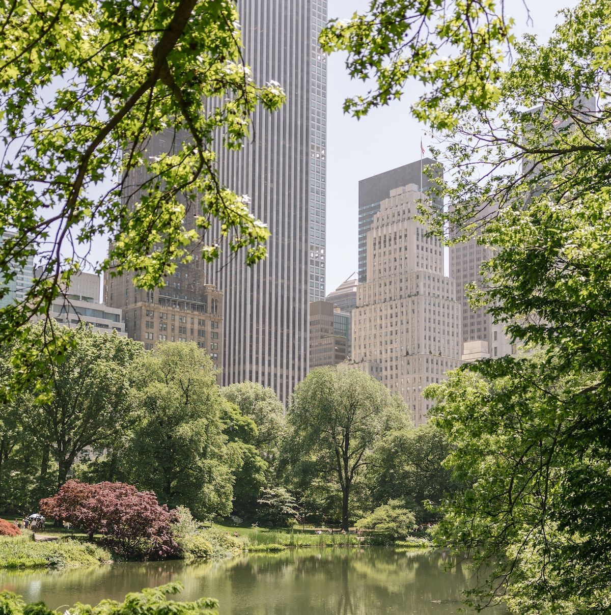 A lake in a park with tall buildings in the background.