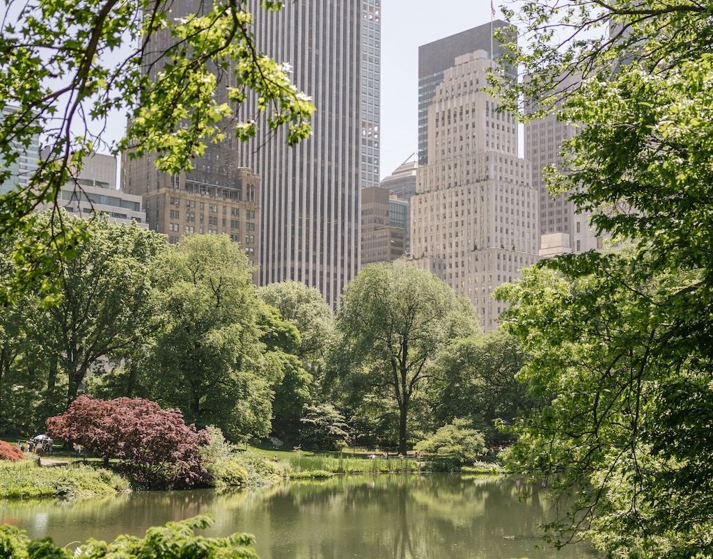 Christmas lights illuminate a city street with a large decorated tree.