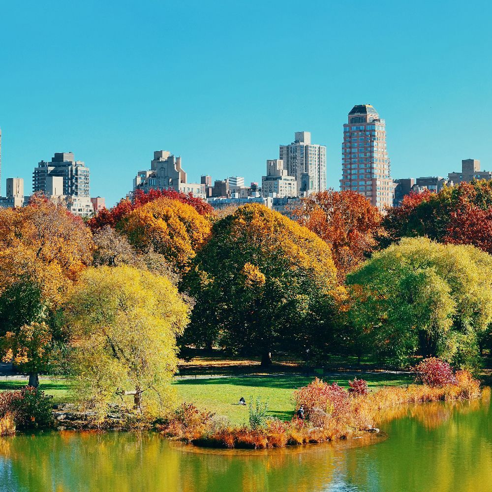 A lake in a park with a city skyline in the background