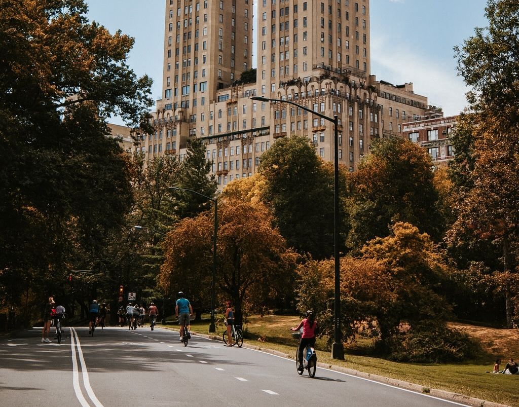 Cyclists on a paved path in a park with autumn foliage and tall buildings in the background.