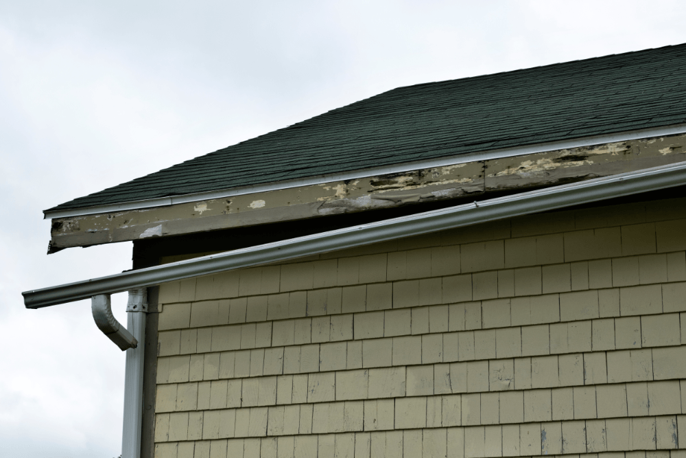 Gutter Repair Services