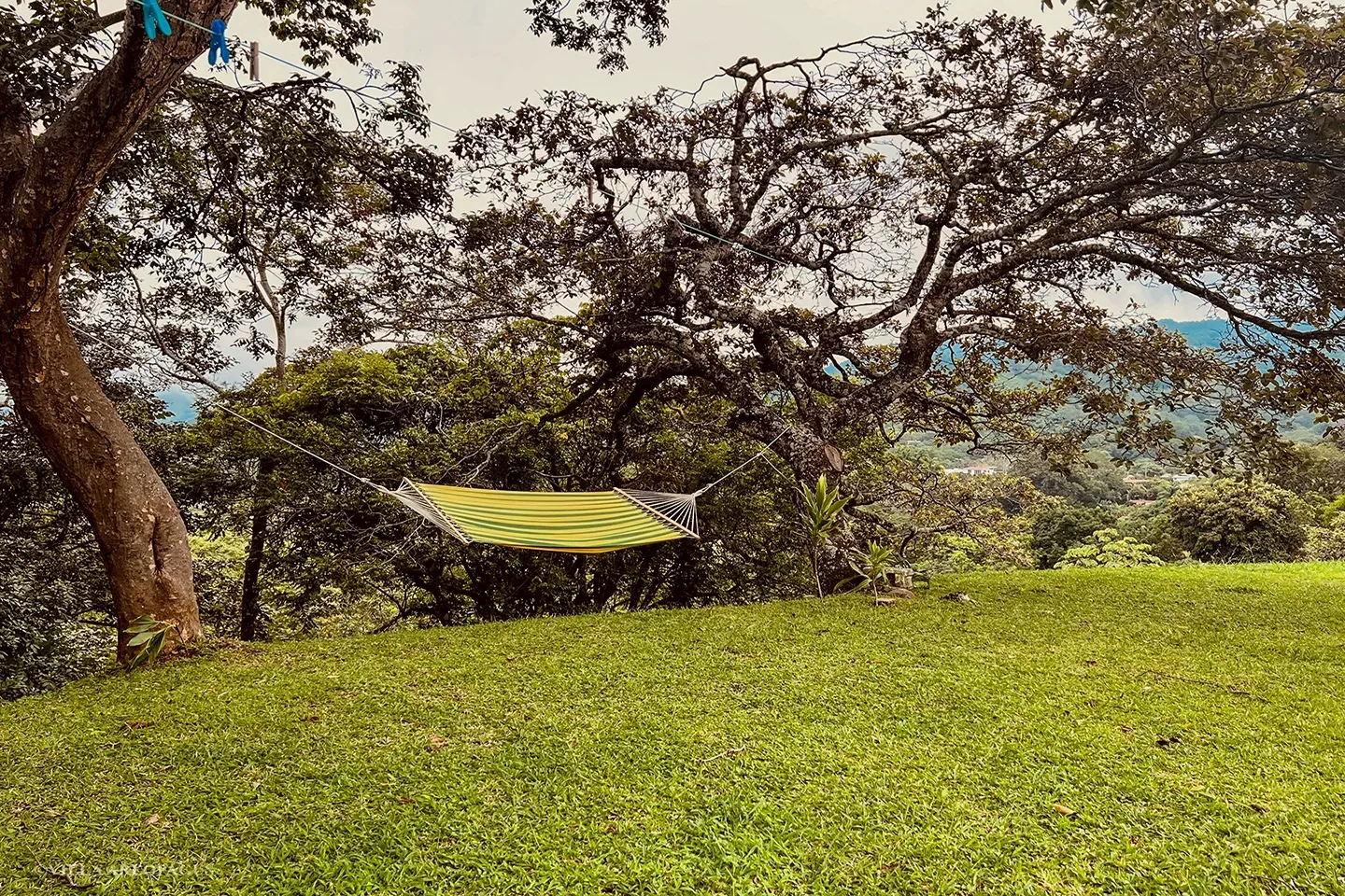 photo hammock relaxing at Villa Areopagus
