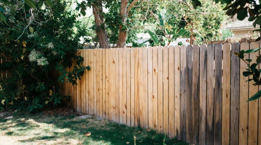 A wooden fence in a backyard, showing a clear contrast between new, light-colored boards and older, weathered ones.