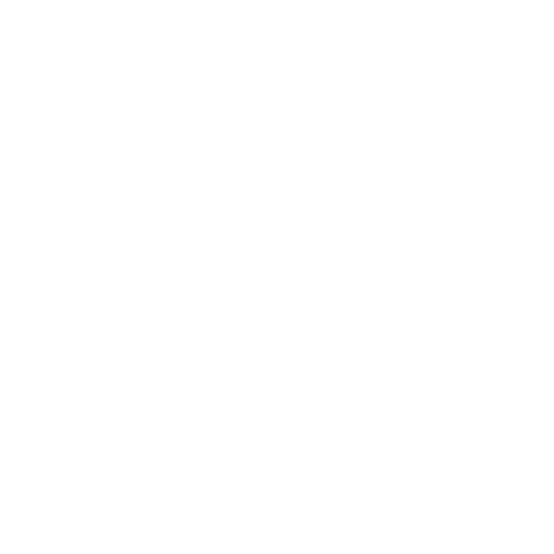 An empty image.