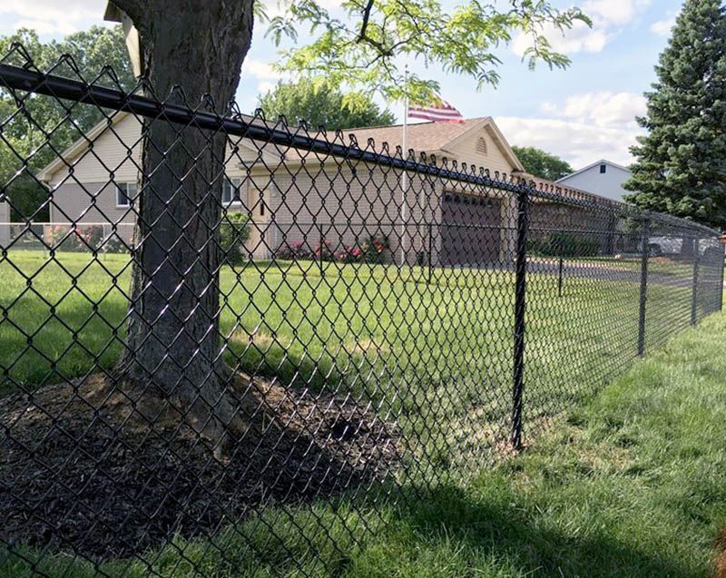 Chain-link fence beside a large tree in a grassy suburban yard with houses in the background.