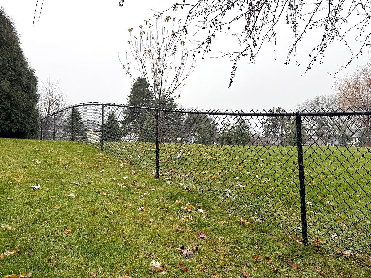A black chain-link fence runs across a grassy, slightly sloping yard under a cloudy sky.