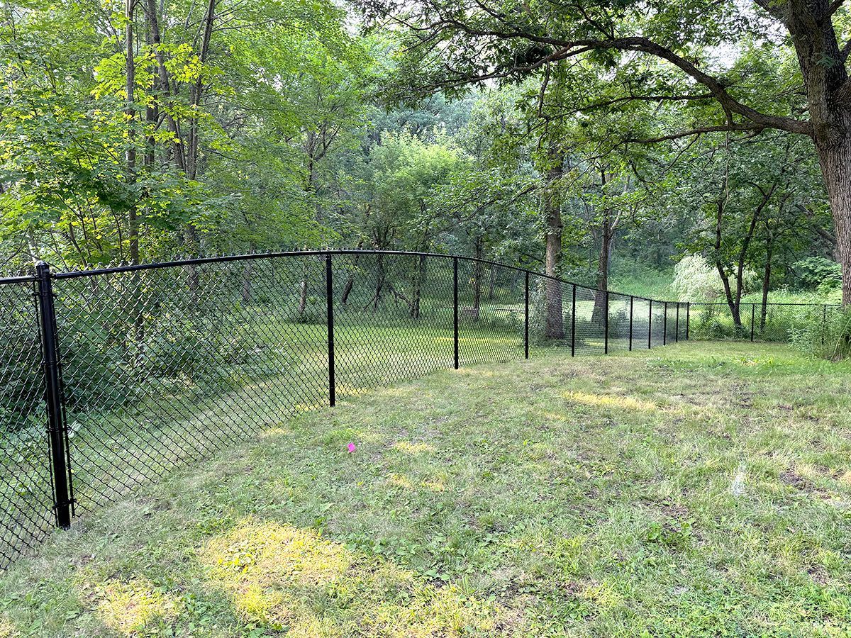 A black chain-link fence runs through a grassy, wooded area, receding into the background.