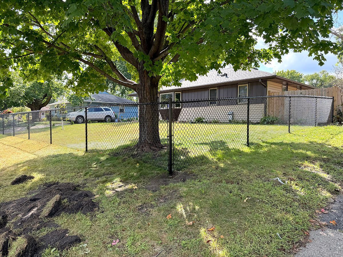 A black chain-link fence encloses a green lawn in front of a house, with a large tree in the foreground.