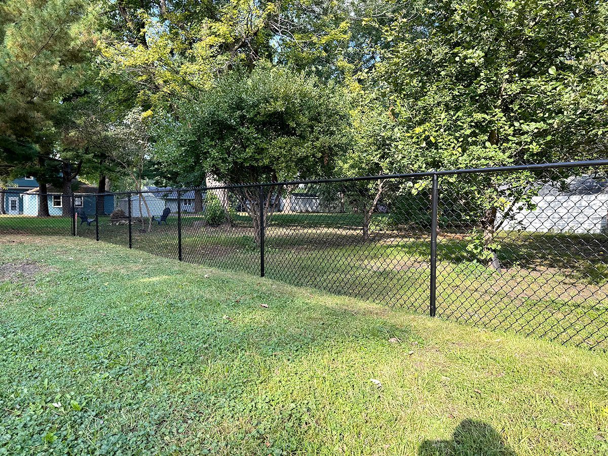 A black chain-link fence separates a grassy lawn from a wooded yard with green trees under a bright sky.