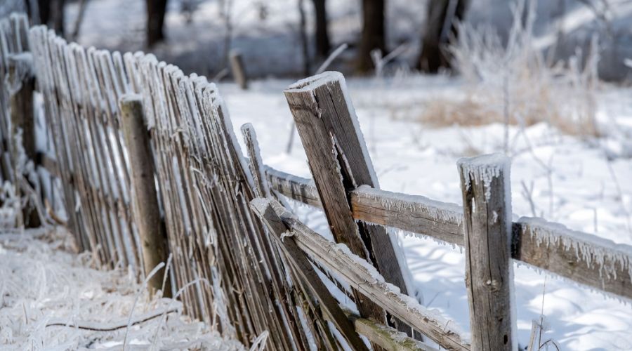 A weathered wooden fence covered in a thick layer of frost and ice stands in a snowy, winter landscape.