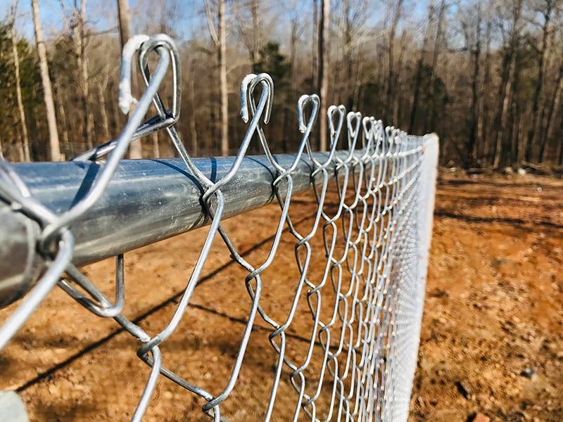 Chain-link fence along a dirt path in a wooded area, with sunlight and trees in the background