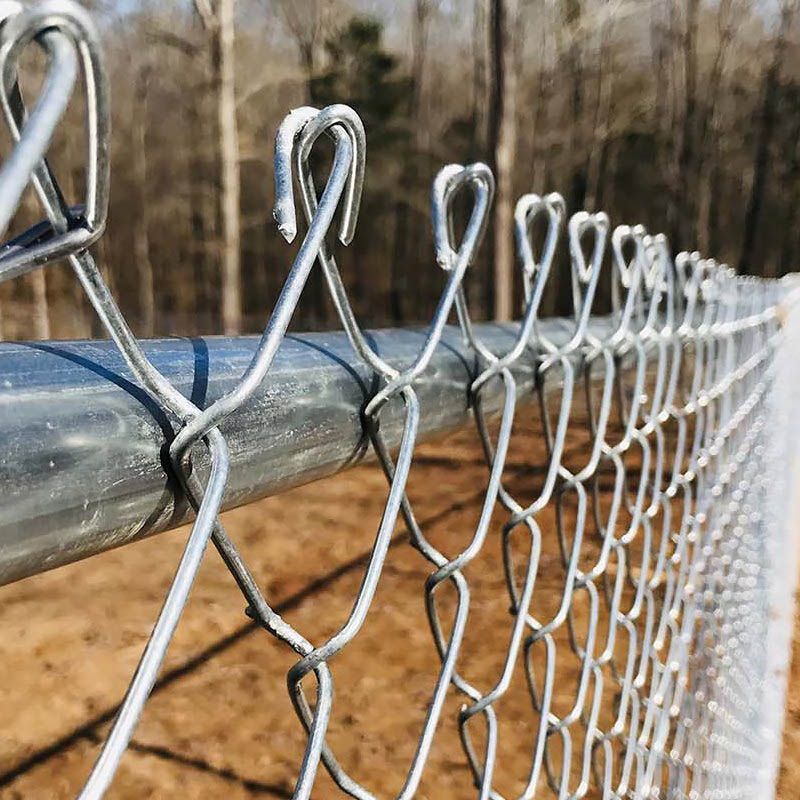 Silver chain-link fence beside a blue rail, receding along a dirt path with bare trees in the background