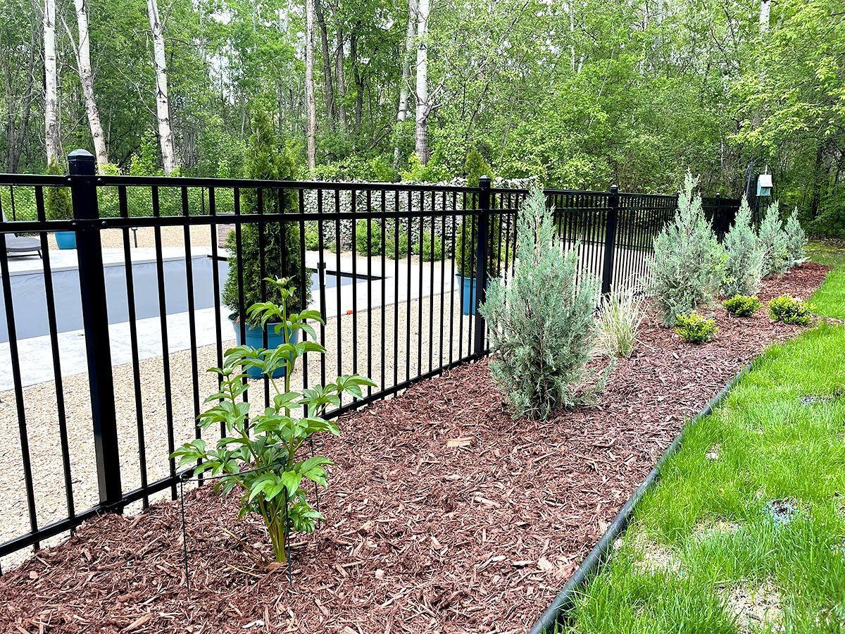 A black metal fence borders a landscaped garden bed with mulch, small evergreens, and a pool in the background.