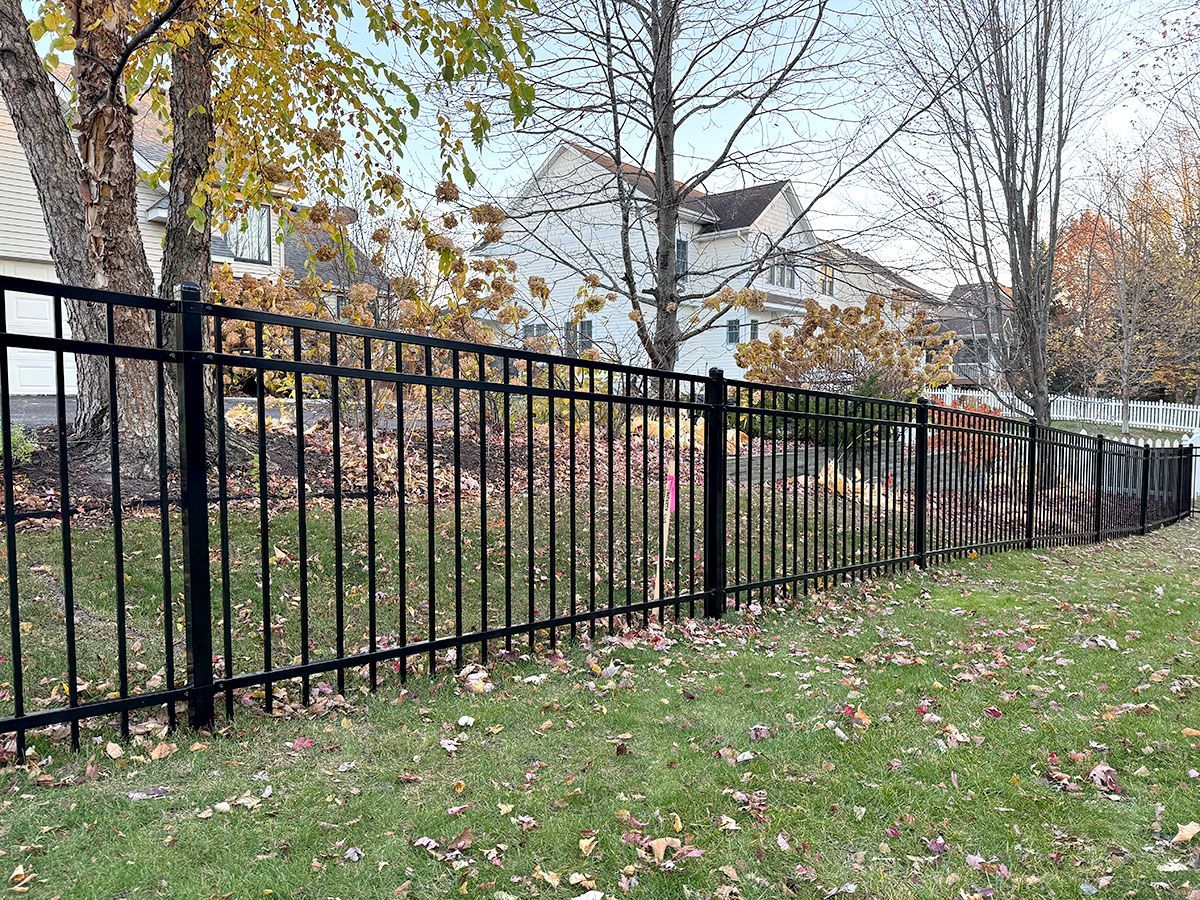 A black metal fence stretches across a residential lawn with autumn trees and a house in the background.