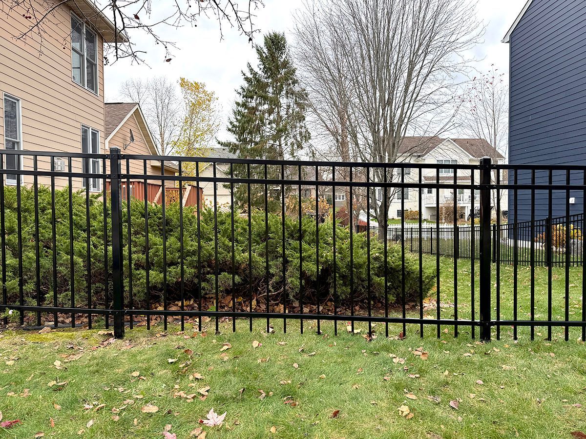 A black metal fence stands in a grassy backyard, fronting a large shrub with suburban houses in the background.