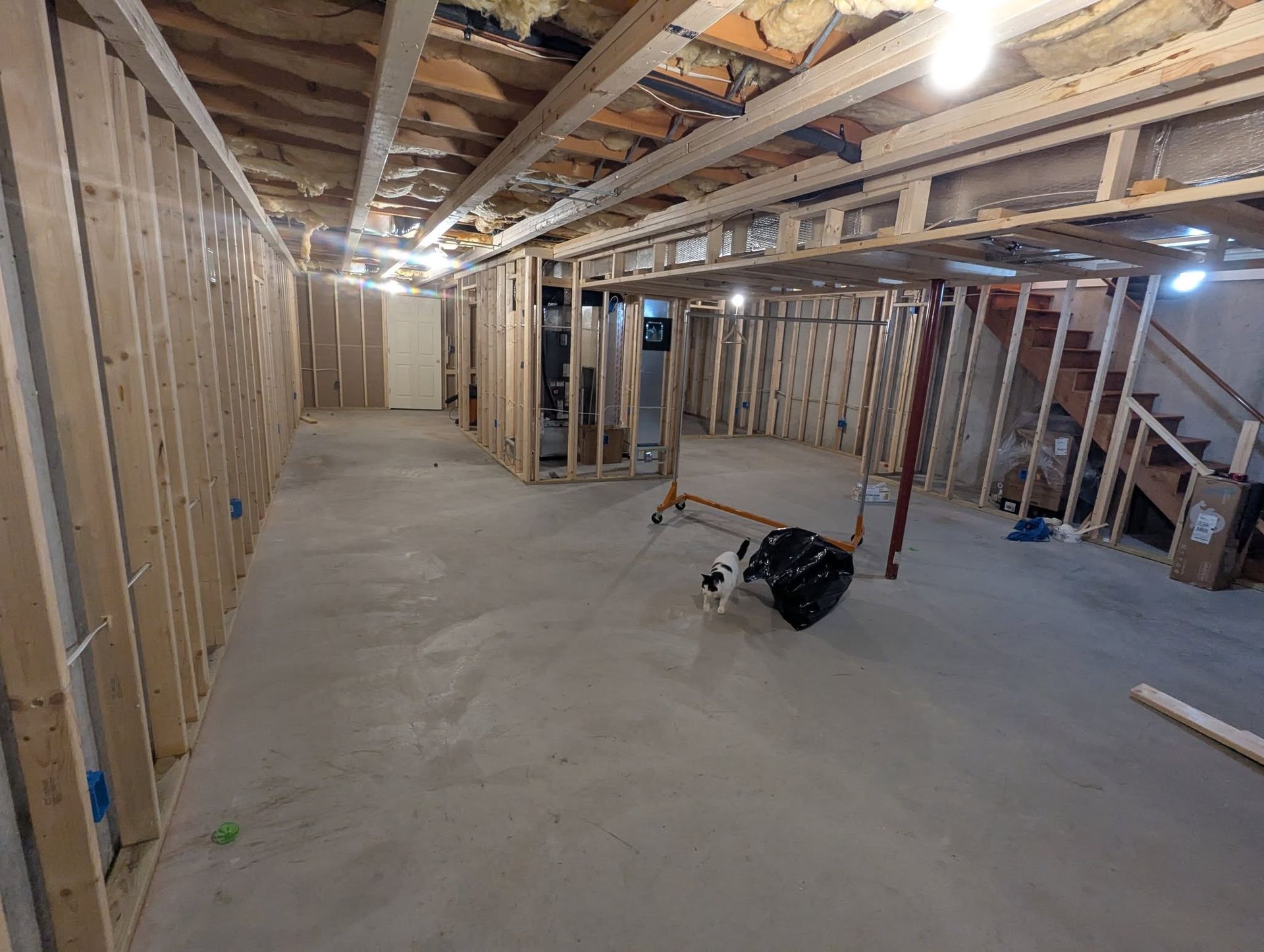 Basement under construction, with wooden framing and concrete floor. A dog sits in the center.
