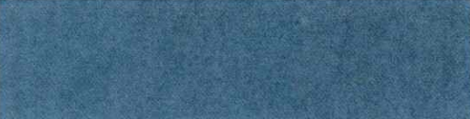 Blue textured background.