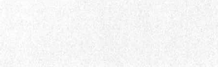 A textured white background.