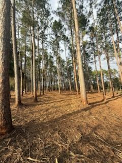 A person holding a baby up in the air indoors near a window, baby smiling.