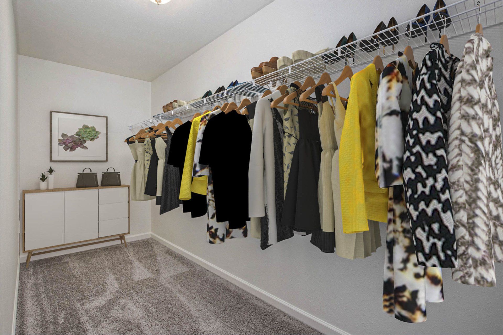 Large Walk In Closet