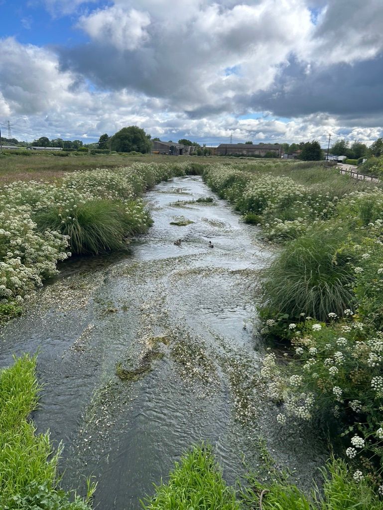 photo of a stream with grass on each bank and farm builinds in the distance