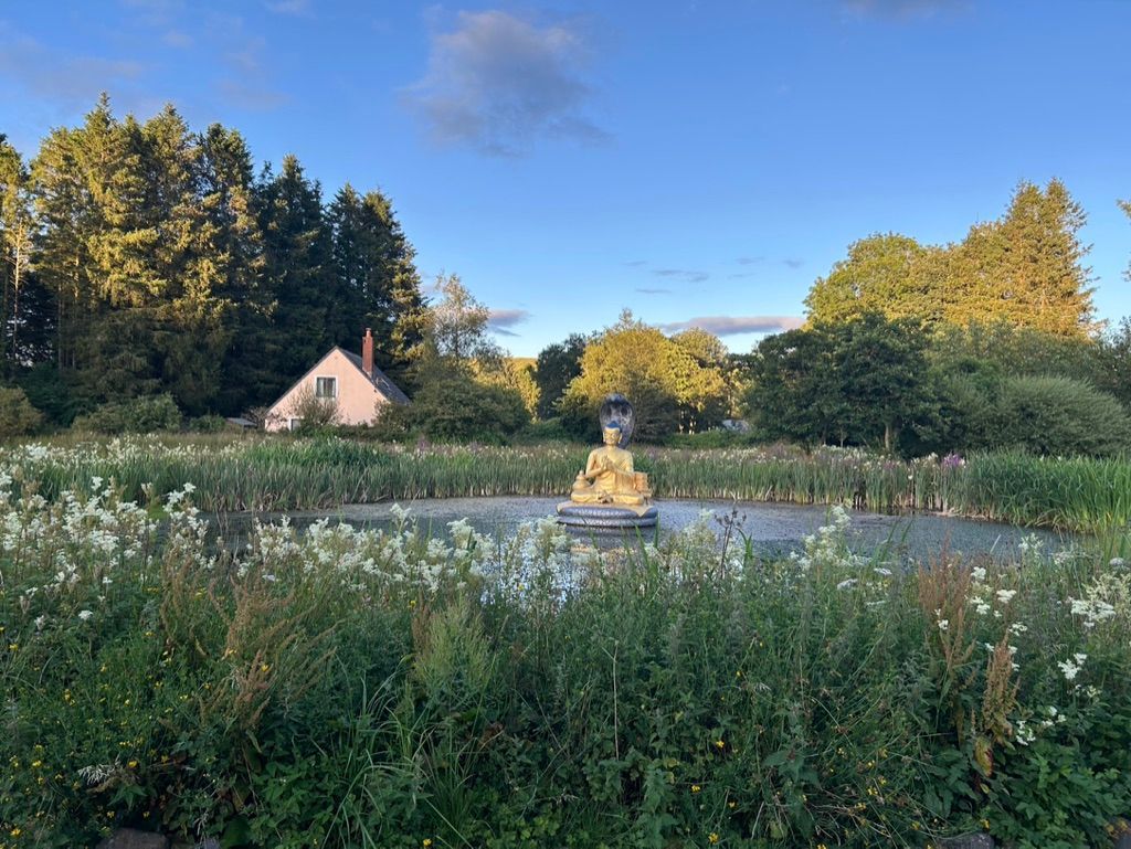 photo of a beautiful pond with a gold statue of a buddha and a bright blue sky and tall grasses in the foreground