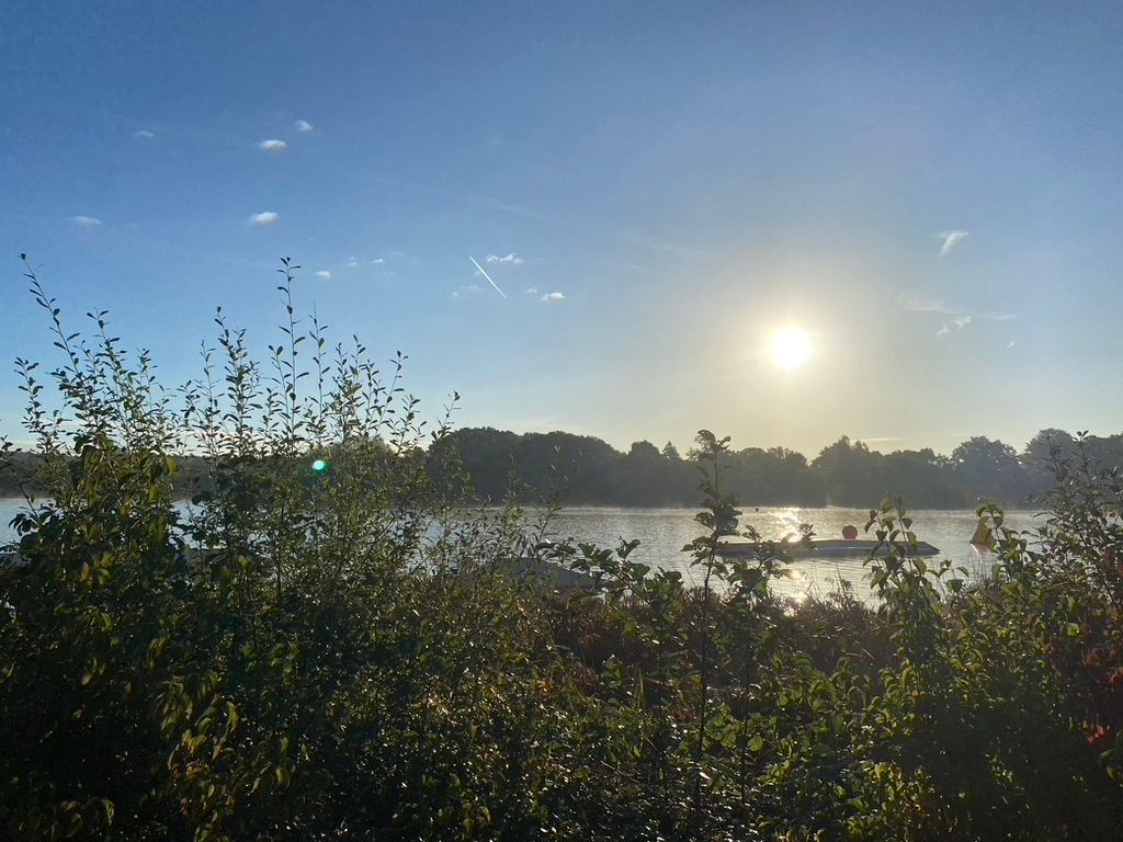 photo of a lake with the sun low on the horizon and a foreground of green shrubs