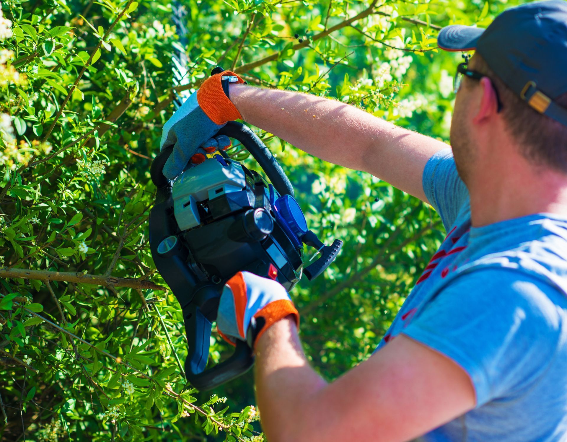 Pennsylvania Arborist & Tree Trimming Contractor Insurance