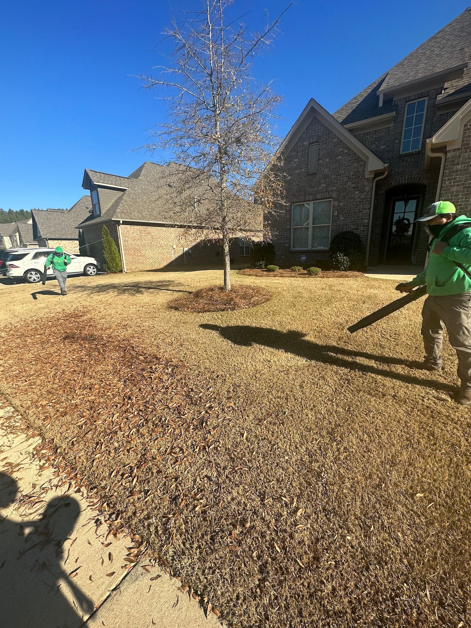 Champions Landscaping leaf removal services