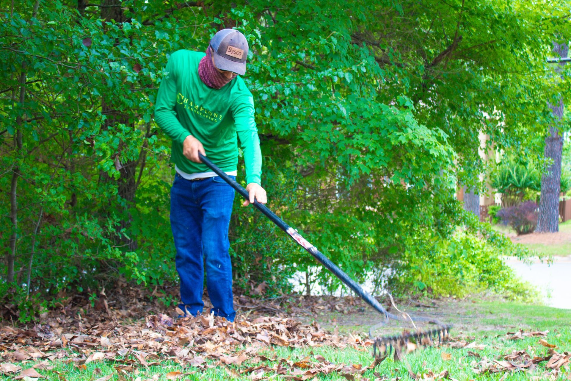 A man in a green shirt is raking leaves in a yard.