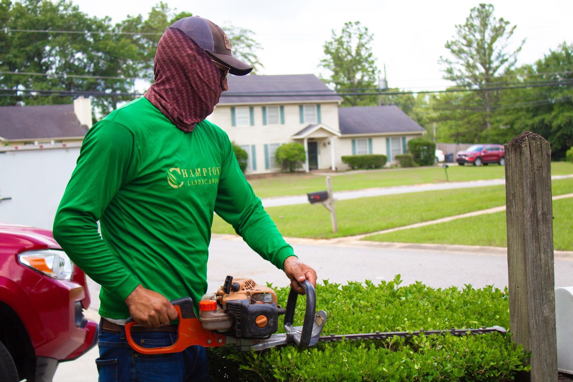 A man in a green shirt is cutting a bush with a hedge trimmer.
