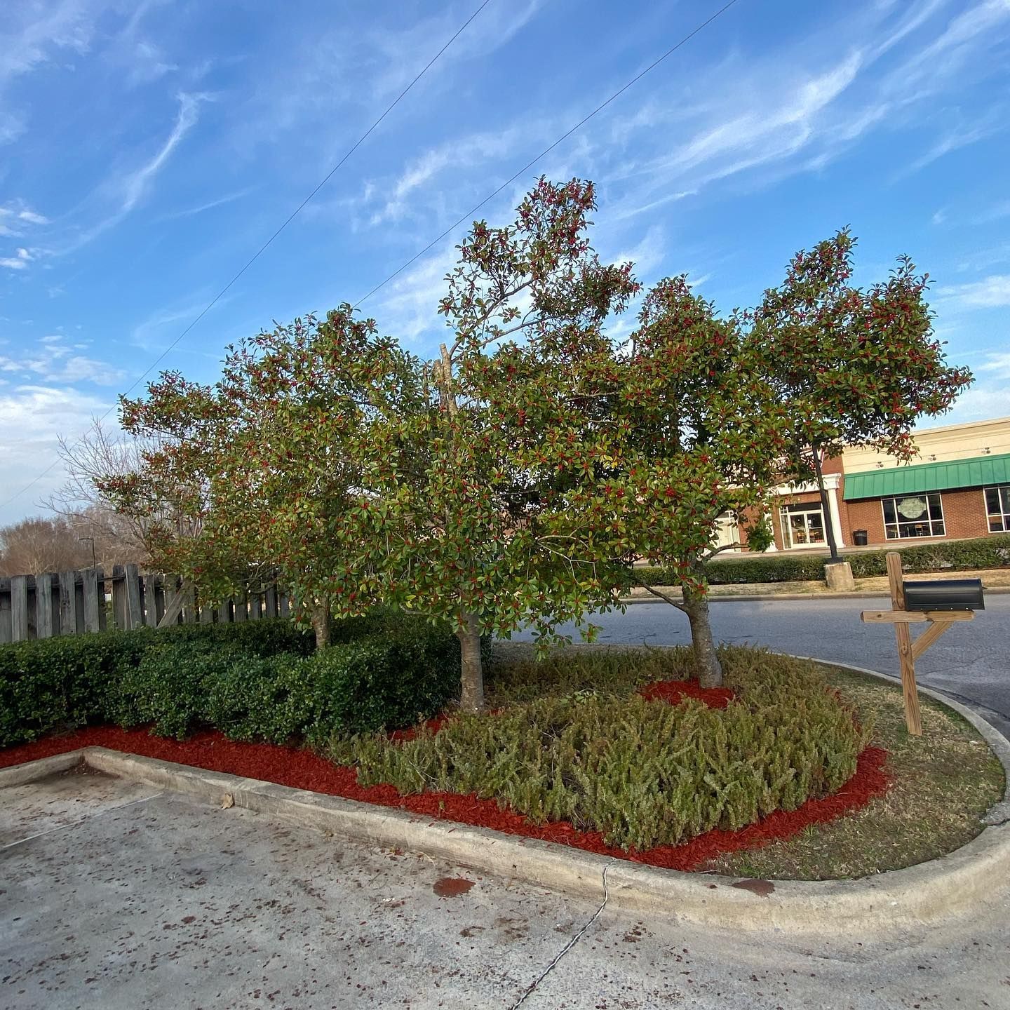 A mailbox in a parking lot with trees in the background