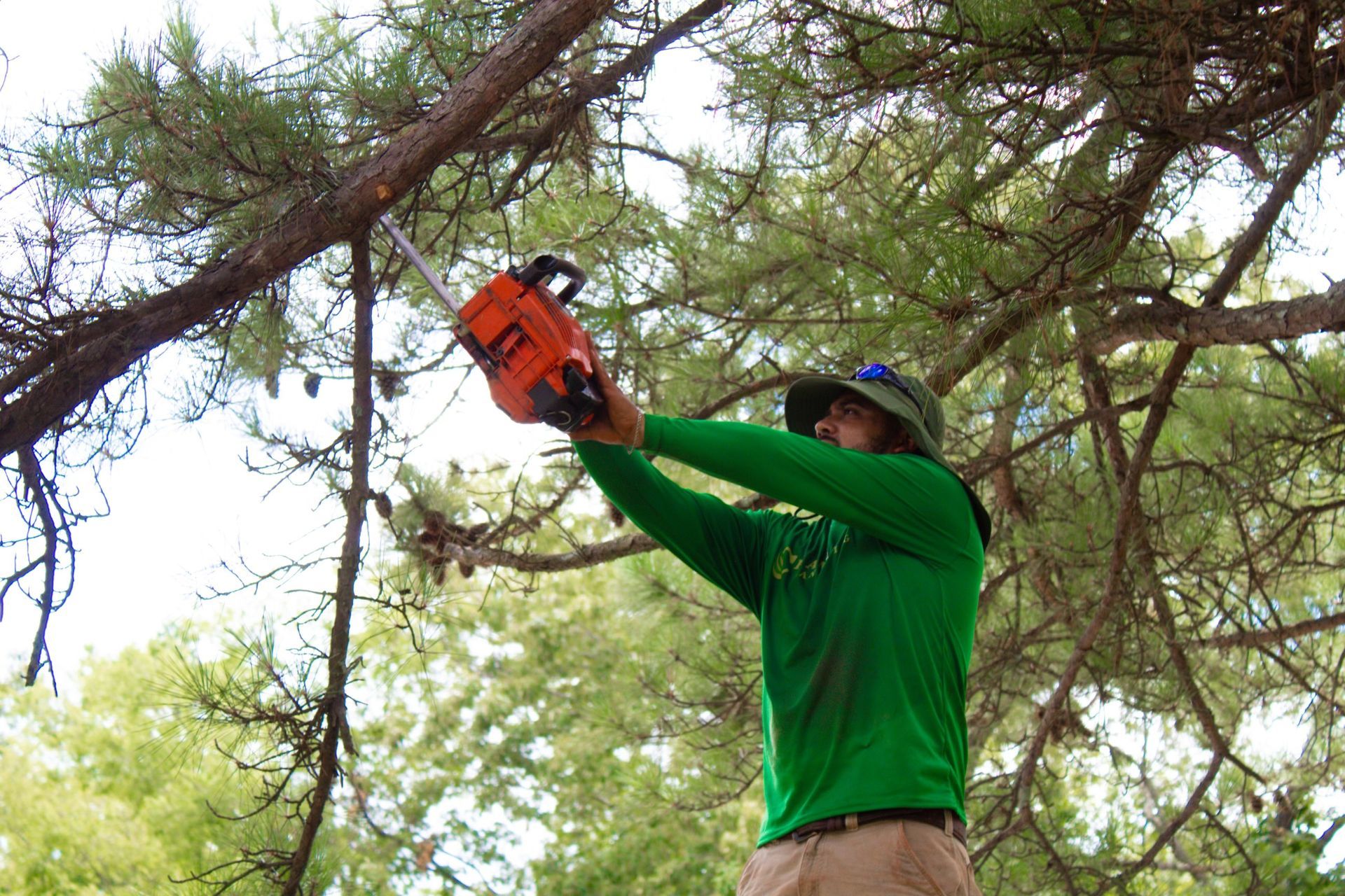 A man in a green shirt is using a chainsaw to cut a tree branch.