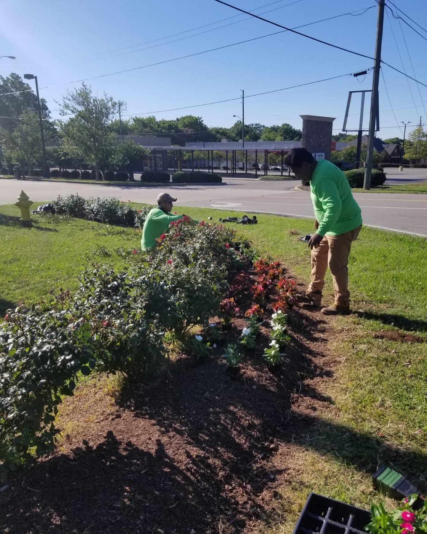 Two men in green shirts are working in a garden