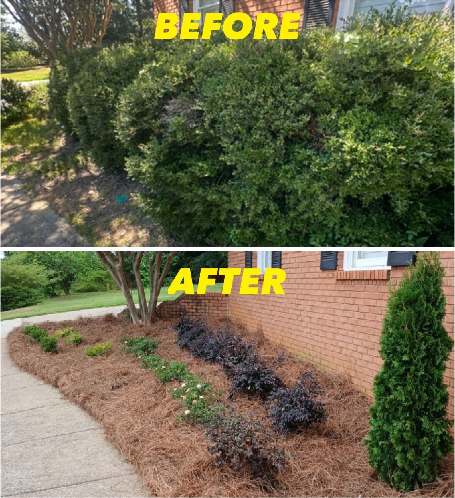 A before and after picture of a garden with a brick house in the background.